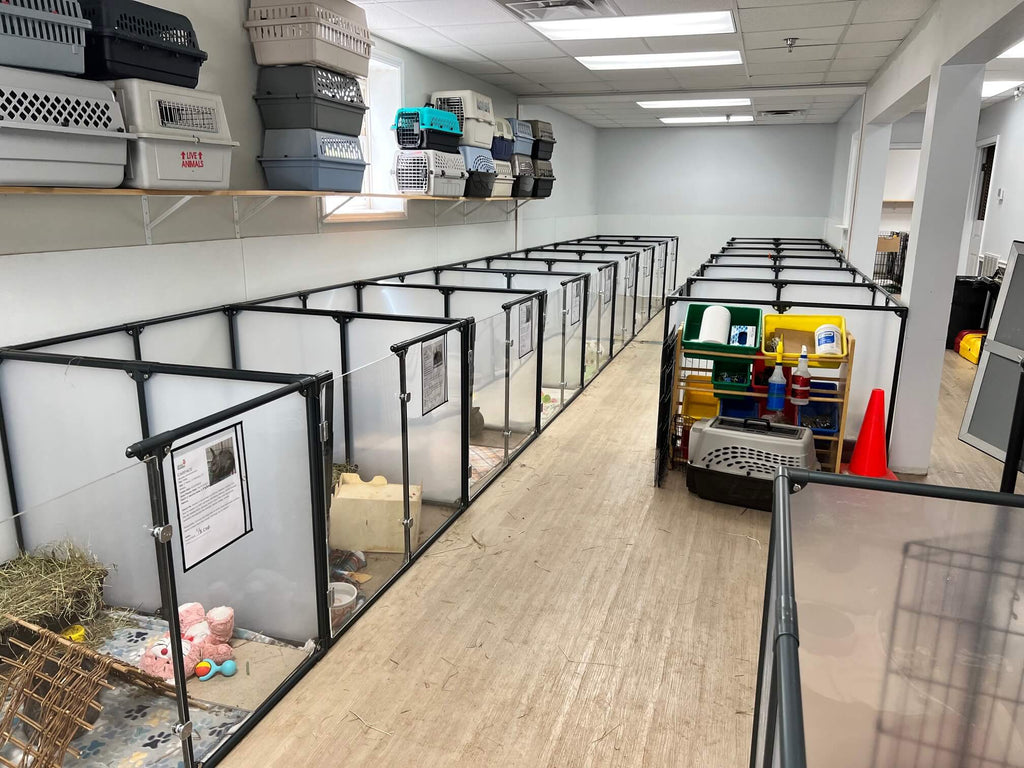 Rows of pet enclosures at rabbit rescue