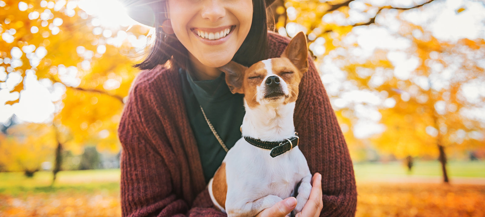 Feeling Blue? A Pet May Help Quell Depression Symptoms.