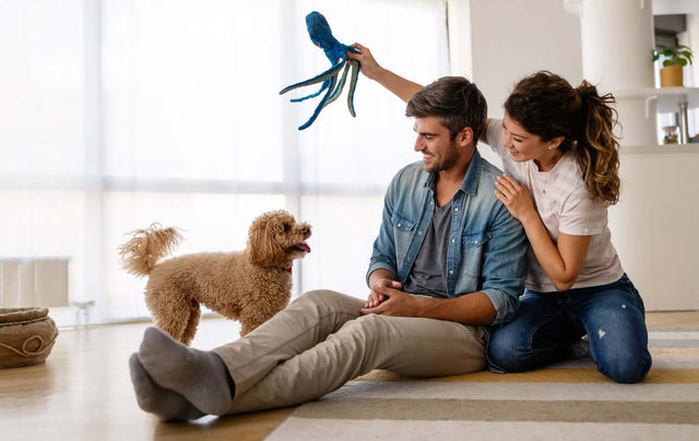 Young couple playing with new puppy