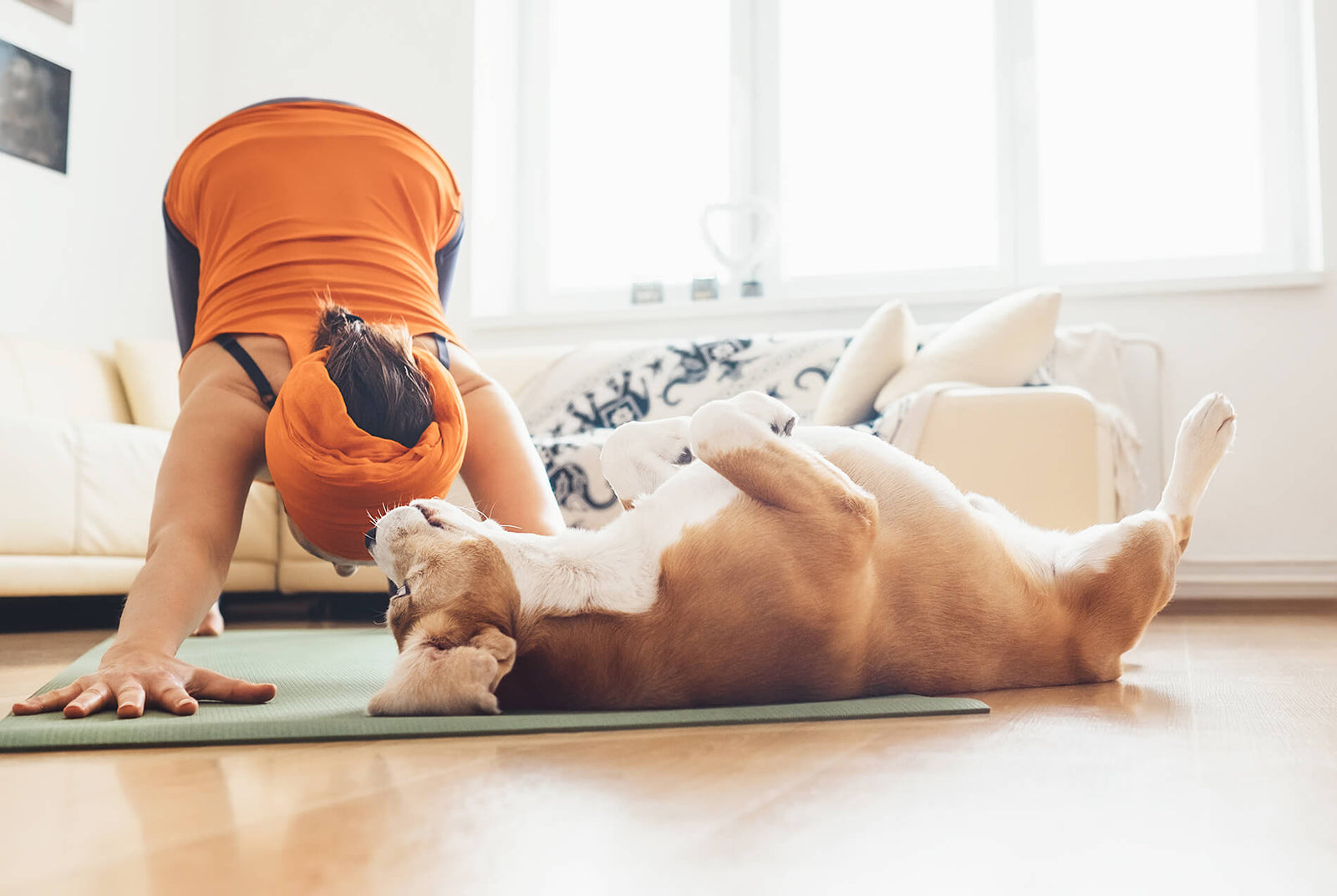 How to Make Smarter Choices for Your Pet’s Health