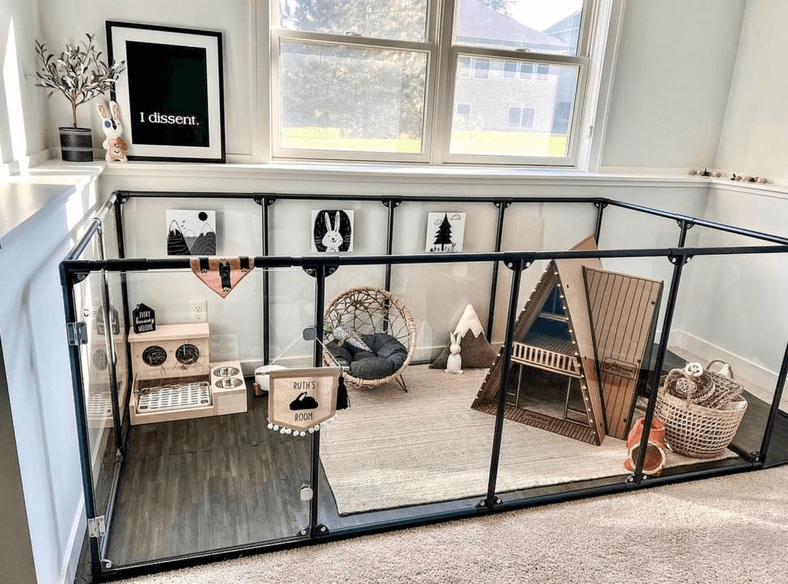 How Much Space Does Your Rabbit Really Need? – Clearly Loved Pets