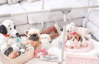 27" Tall Small Lucidium Pet Pen, GUNMETAL (Unused Return)