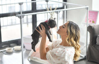 36" Tall Large Lucidium Pet Pen, GUNMETAL (Unused Return)