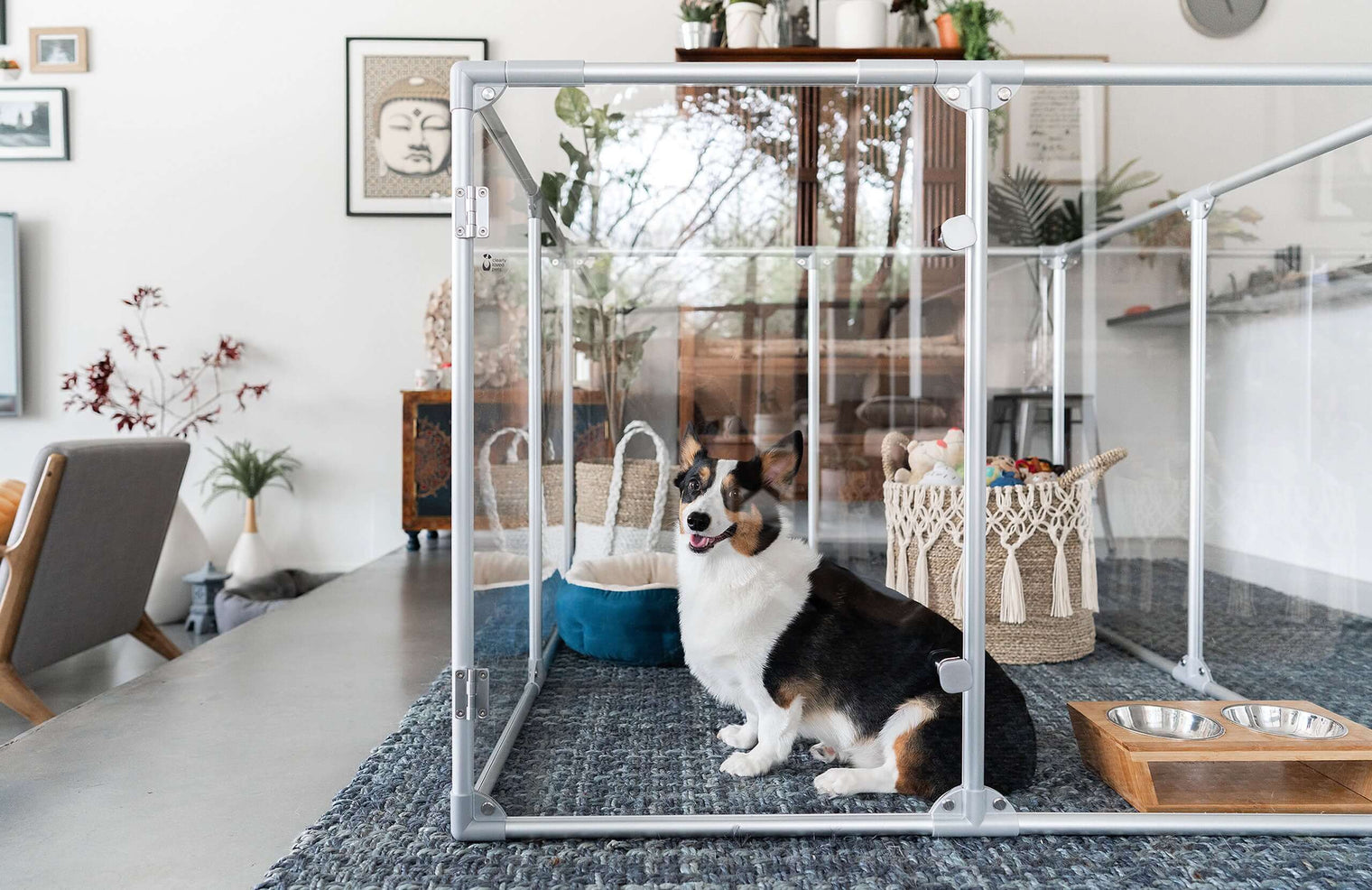  36 inch height medium dog pen in silver color with medium breed dog in living room