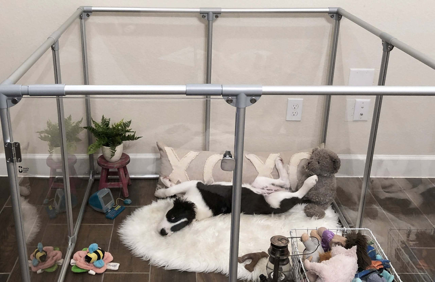  36 inch height medium dog pen in silver color with medium breed dog