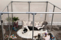  36 inch height medium dog pen in silver color with medium breed dog