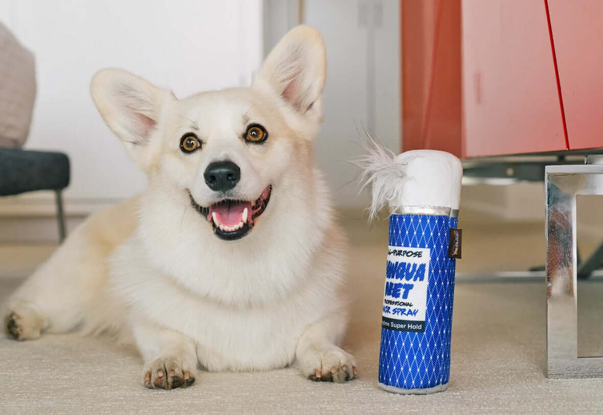 A happy corgi lying on the floor next to a can of Aquanet hairspray, capturing an 80s nostalgia theme.