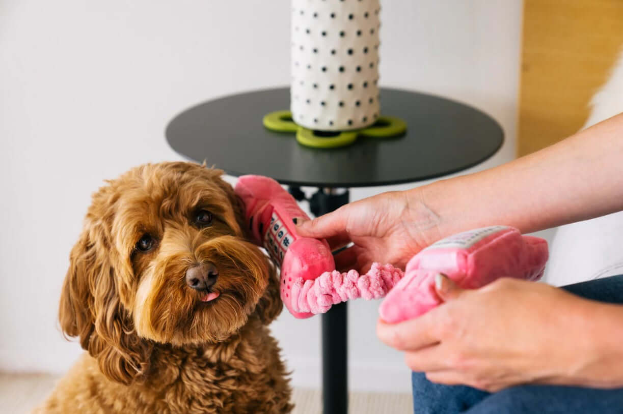 Dog playing with a P.L.A.Y. 80's Classic Toy pink phone, featuring nostalgic plush design for epic puppy playtime fun.