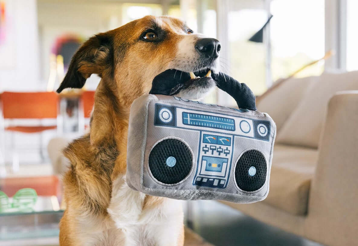 Dog playing with plush boom box toy from P.L.A.Y. 80's Classic Toy Set, featuring a hidden surprise for double fun.