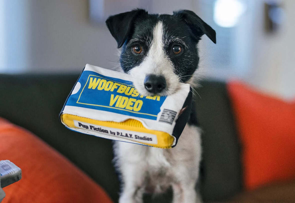 Dog holding Woofbuster Video plush toy from P.L.A.Y. 90's Classic Toy Set on a couch.