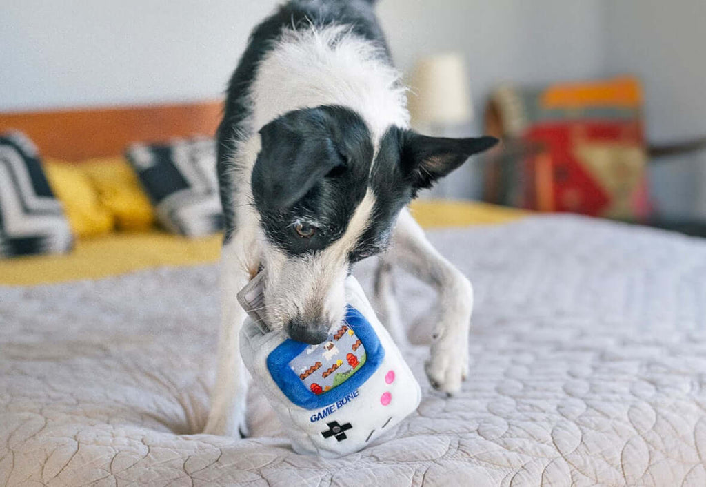 Dog playing with 90s classic game console plush toy on a bed