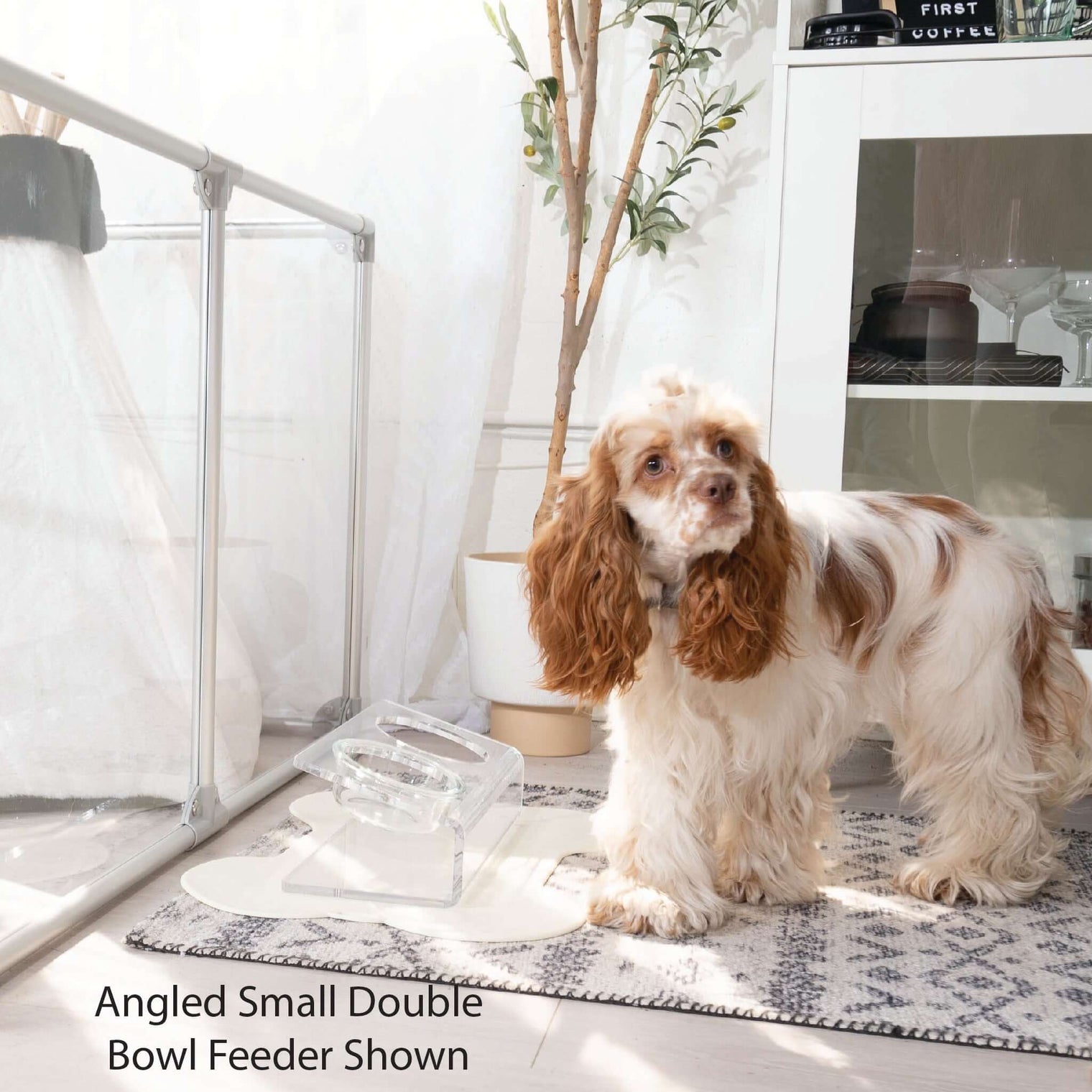 Modern Acrylic Glass Bowl Feeders, Angled Style, Double Bowl - (Unused Return)