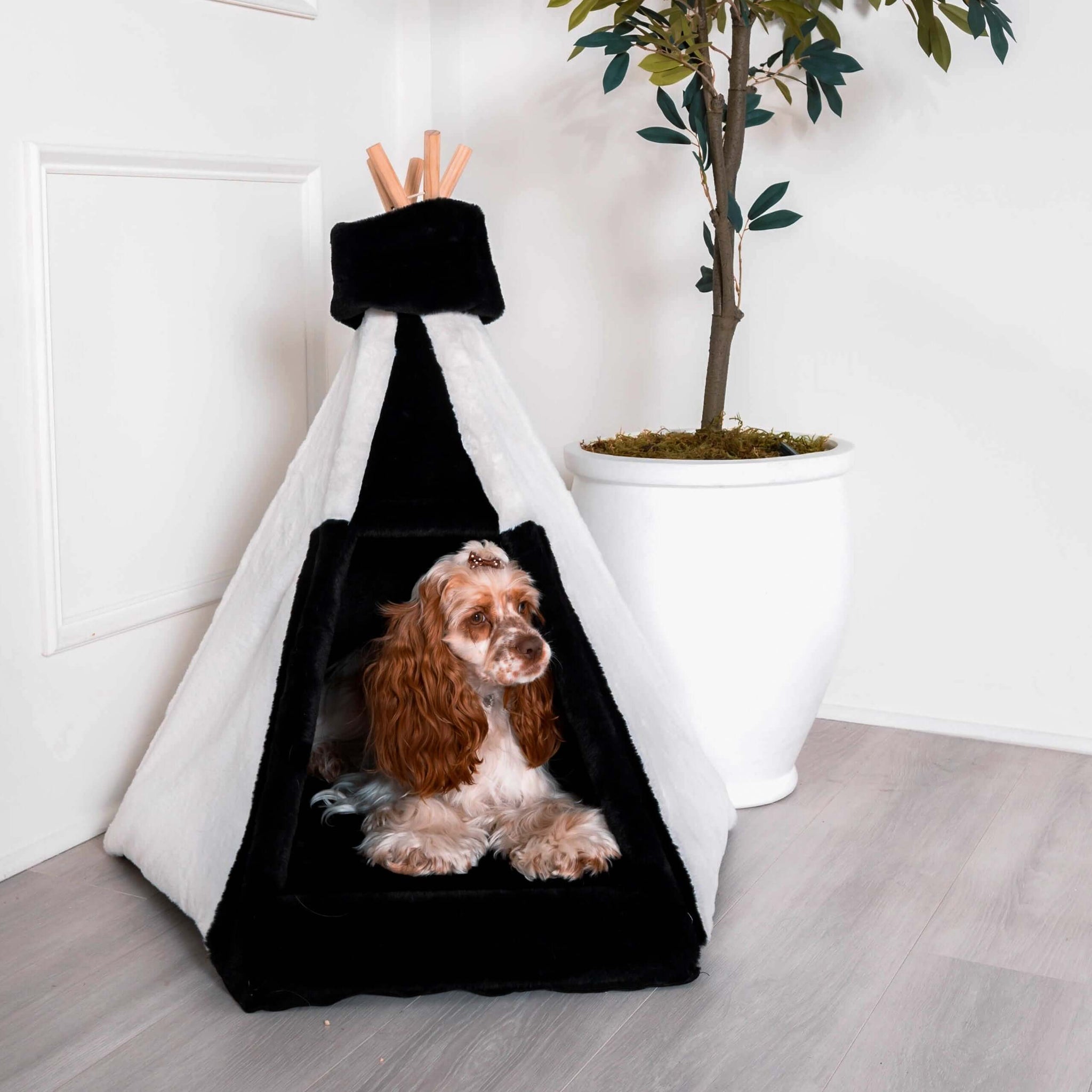 luxurious pet bed teepee with dog resting inside