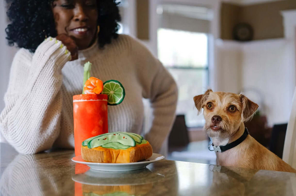 Woman and dog enjoying brunch with plush toy set, featuring a toy cocktail and burger, from the P.L.A.Y. Barking Brunch Collection.