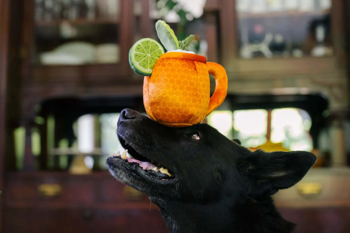 Dog balancing P.L.A.Y. Barktender plush margarita toy with lime, showcasing fun cocktail-inspired pet playtime.