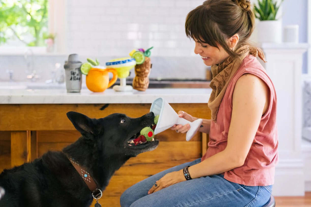 Woman playing with dog holding a P.L.A.Y. Barktender plush toy in a kitchen setting with cocktail-style dog toys in the background.