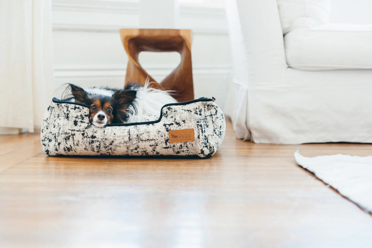 Dog lounging in the P.L.A.Y. Celestial Lounge Bed in a cozy home setting.