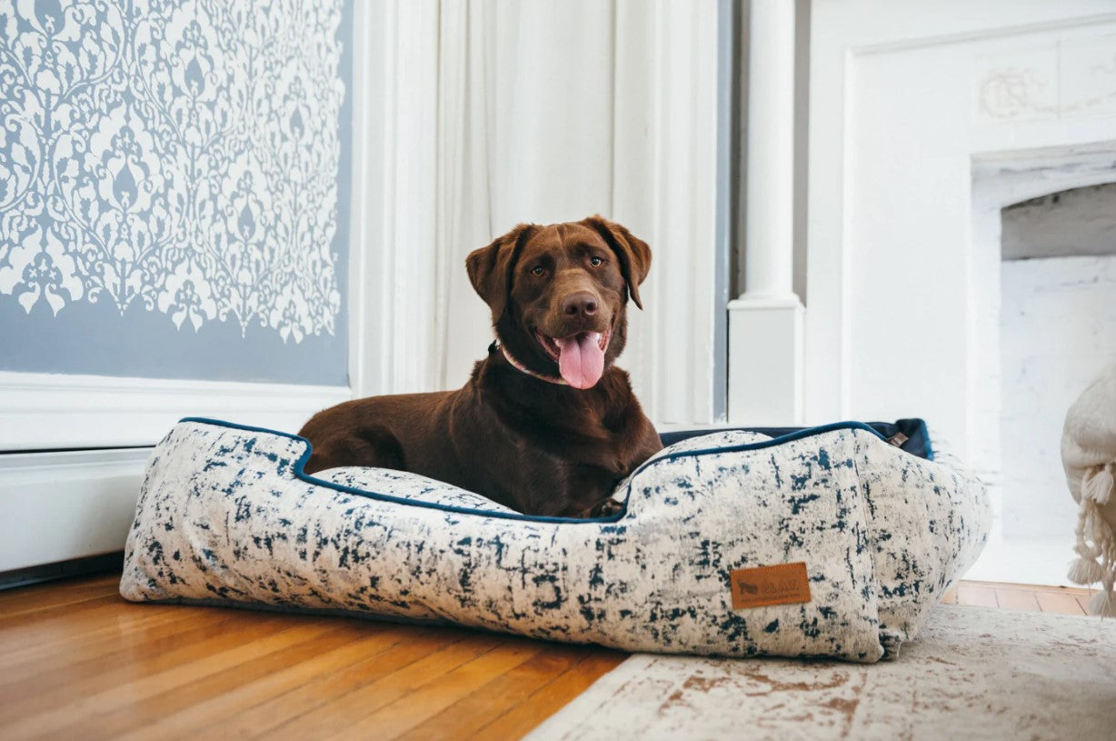 Dog resting on P.L.A.Y. Celestial Lounge Bed in Midnight Blue pattern with elevated sides for headrest comfort.