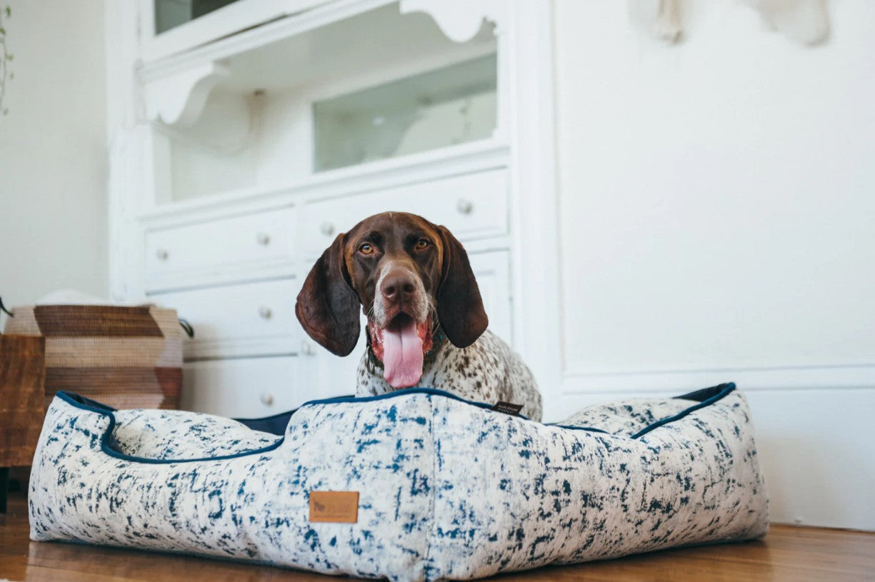 Dog relaxing on a P.L.A.Y. Celestial Lounge Bed in a cozy home setting, showcasing the bed's elevated sides and modern design.