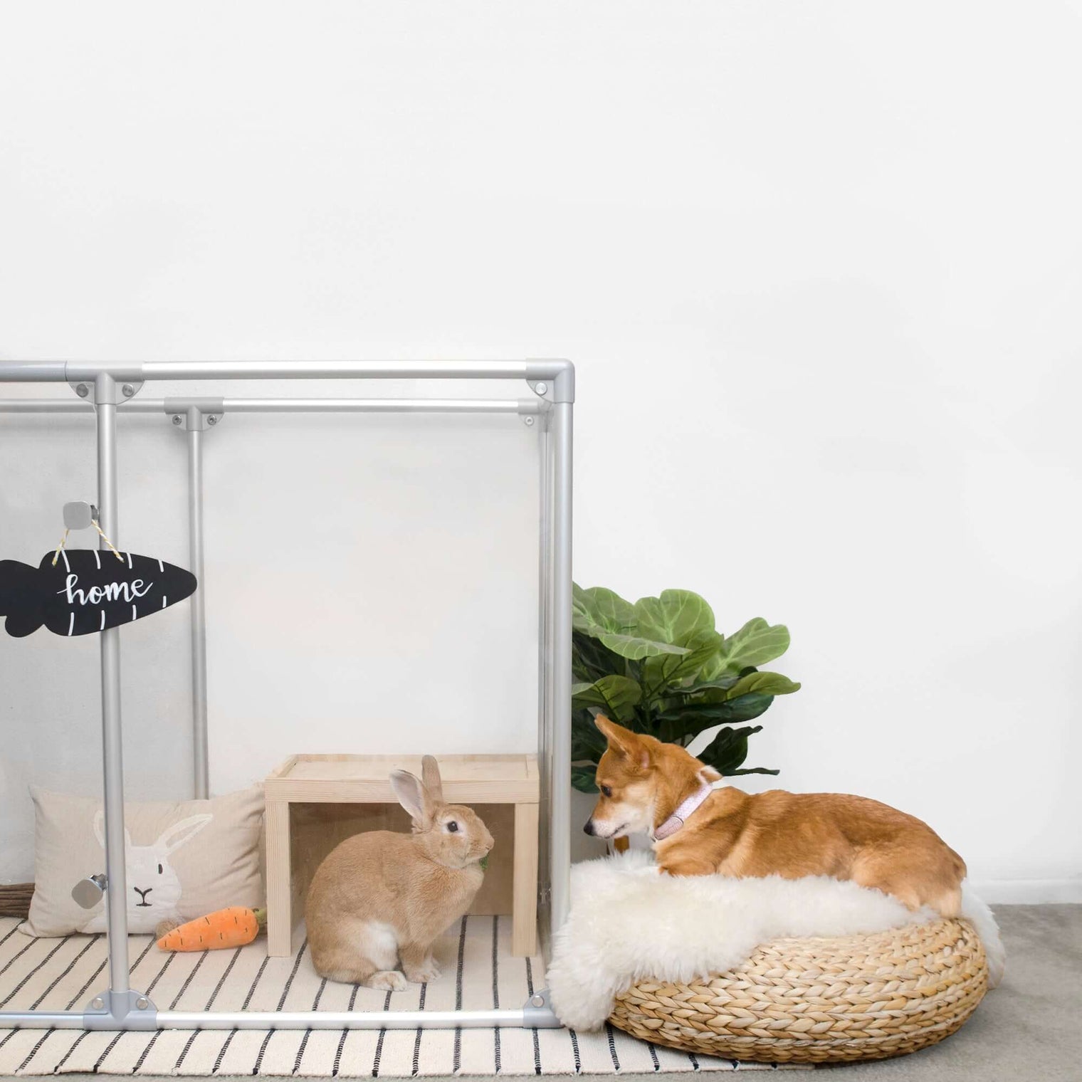 36" Tall Medium Lucidium Pet Pen, WHITE (Unused Return)