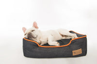 French Bulldog sleeping in a P.L.A.Y. Denim Lounge Bed with durable soft denim and chic piping