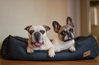 Two dogs lying on P.L.A.Y. Denim Lounge Bed, enjoying the comfortable and stylish denim bolster bed.
