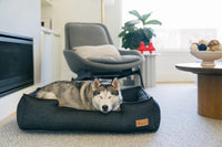 Siberian Husky sleeping on a P.L.A.Y. Denim Lounge Bed in a cozy living room.