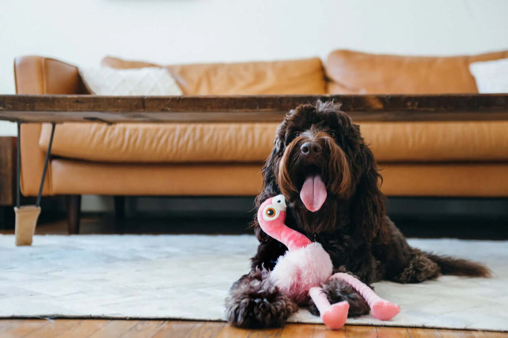 Dog playing with flamingo plush toy from the P.L.A.Y. Fetching Flock Toy Set on a living room rug.