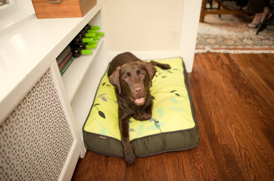 large dog resting on greenery rectangle dog bed