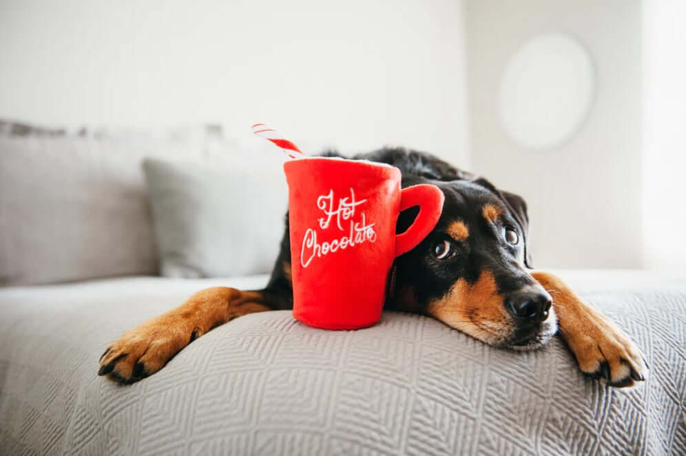 Dog with plush hot chocolate toy from P.L.A.Y. Holiday Classic Toy Set on a cozy bed, perfect for festive pet gifts and fun.