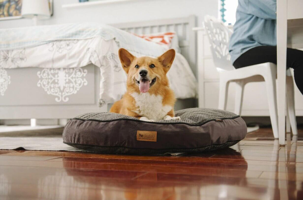 Corgi lounging on P.L.A.Y. Houndstooth Round Bed in a stylish bedroom setting.