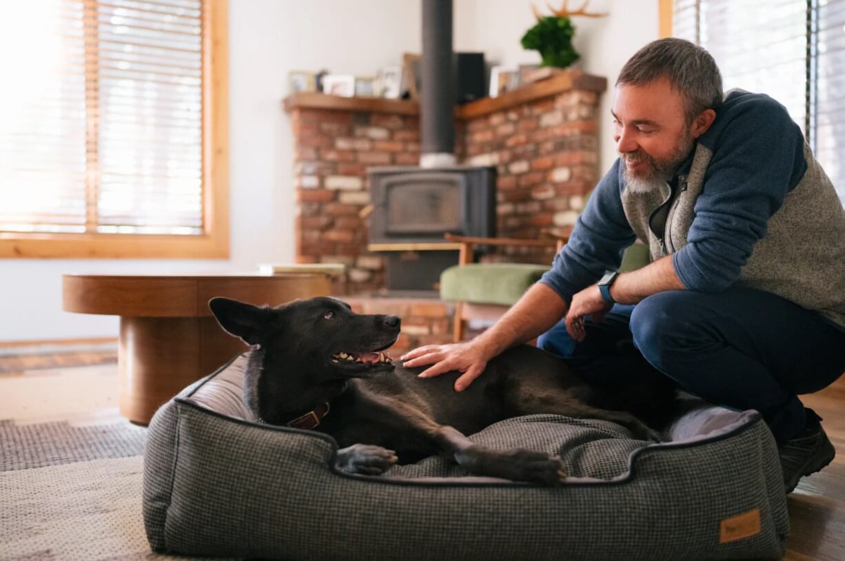 Man petting a happy dog on a P.L.A.Y. Houndstooth Lounge Bed in a cozy living room.