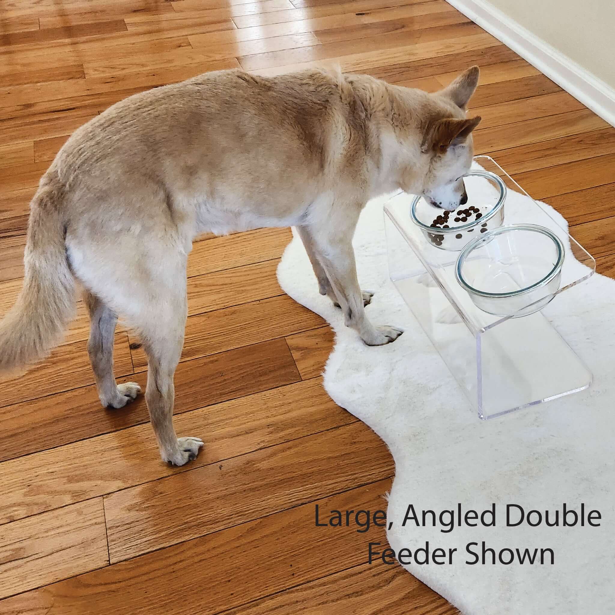 Dog eating from modern acrylic feeder