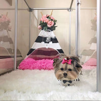 27" Tall Small Lucidium Pet Pen, SILVER - (Unused Return)