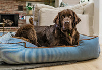 Large dog resting comfortably in a bolster style Manhattan Lounge Bed with raised sides and plush headrest.