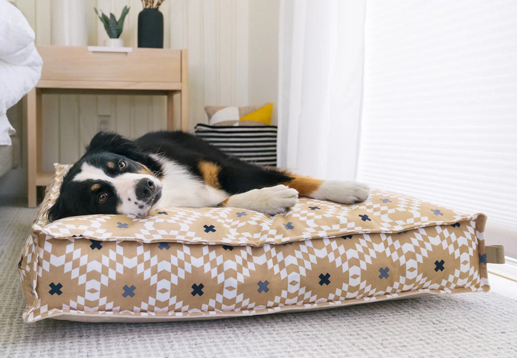 Dog resting on P.L.A.Y. Marina Boxy Bed with contemporary striped design in stylish home setting