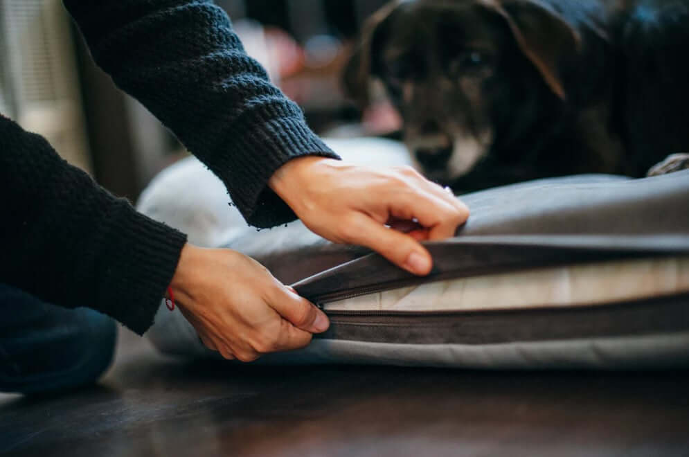 Person adjusting the zipper on a P.L.A.Y. California Dreaming Memory Foam Lounger Bed for a large black dog