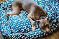 Dog relaxing on the P.L.A.Y. Moroccan Lounge Bed with intricate blue and white patterns, made from 100% natural cotton fabric.