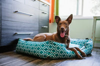Dog relaxing on P.L.A.Y. Moroccan Lounge Bed with vibrant blue and white pattern in cozy home setting