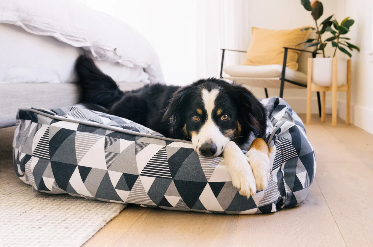 Dog lounging on P.L.A.Y. Mosaic Lounge Bed with colorful geometric pattern in a cozy, modern room.