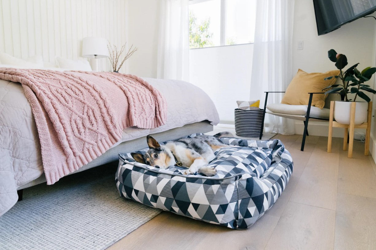 Dog lounging on P.L.A.Y. Mosaic Lounge Bed with colorful geometric pattern in a stylish bedroom