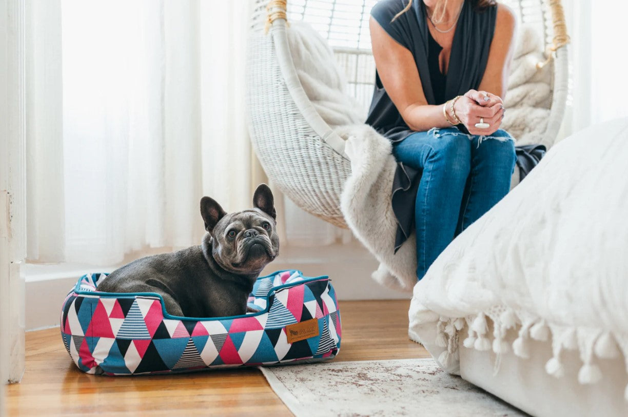 French Bulldog relaxing in a colorful geometric pattern Mosaic Lounge Bed next to a person sitting in a cozy, stylish room.