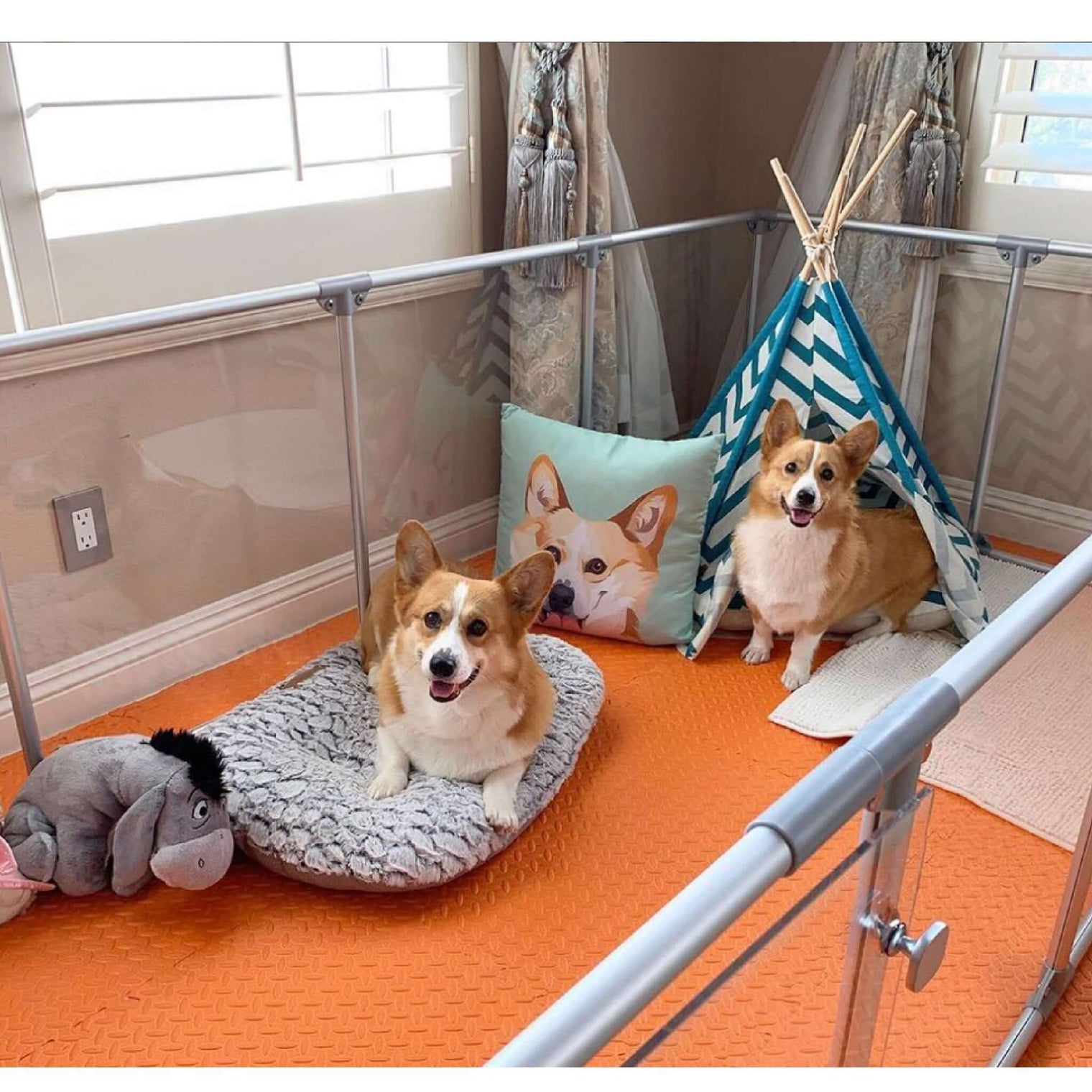 Two corgis inside 27 inch height large dog pen in silver color