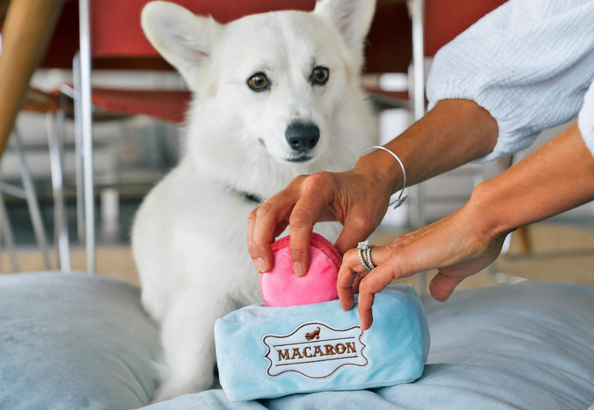 P.L.A.Y. Pup Cup Café Toy Set