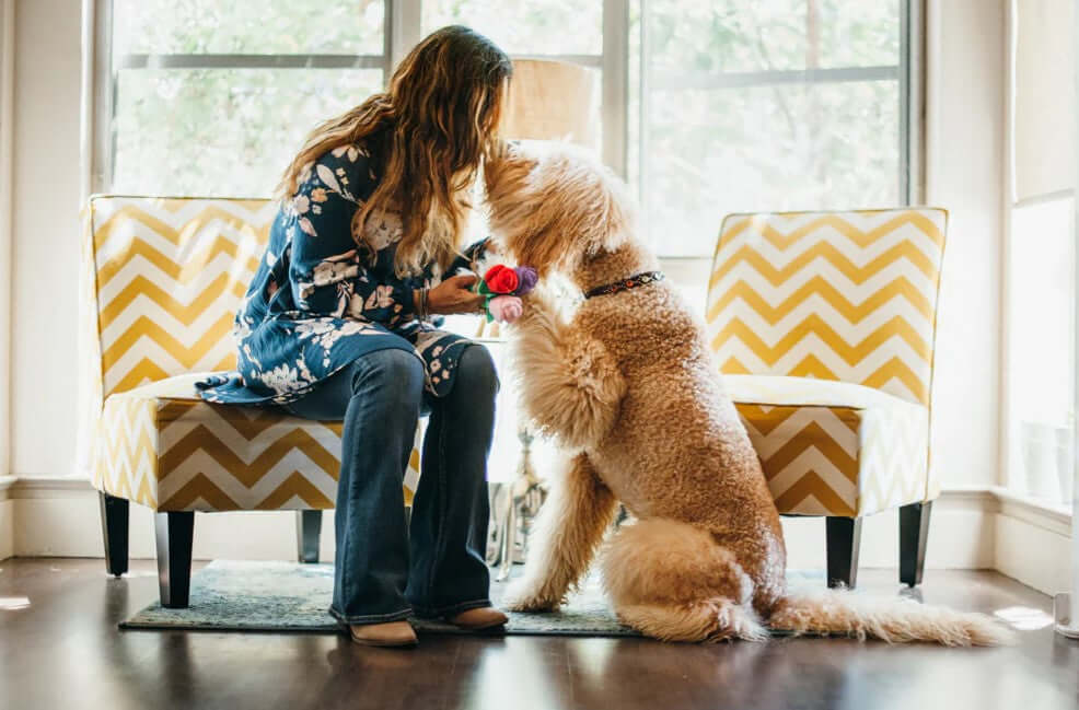 Woman and fluffy dog share a moment with a flower in a cozy living room setting.