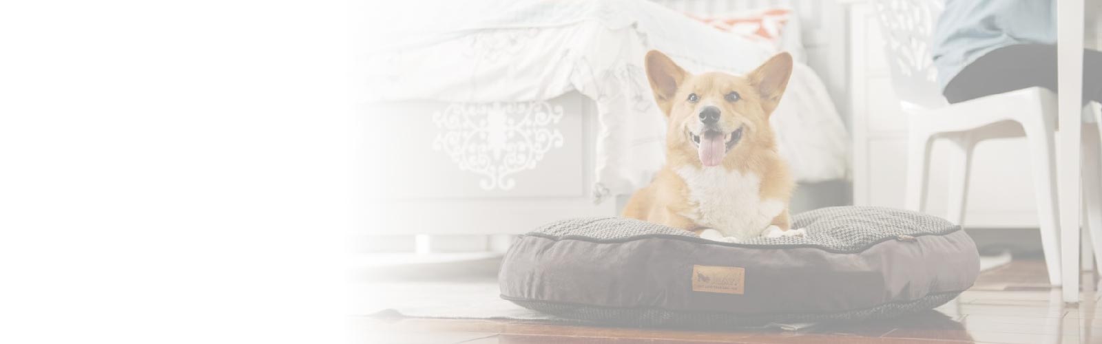Round Style Dog Bed Collection – Clearly Loved Pets