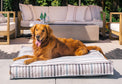 Golden retriever lounging on a striped dog bed in an outdoor patio setting.