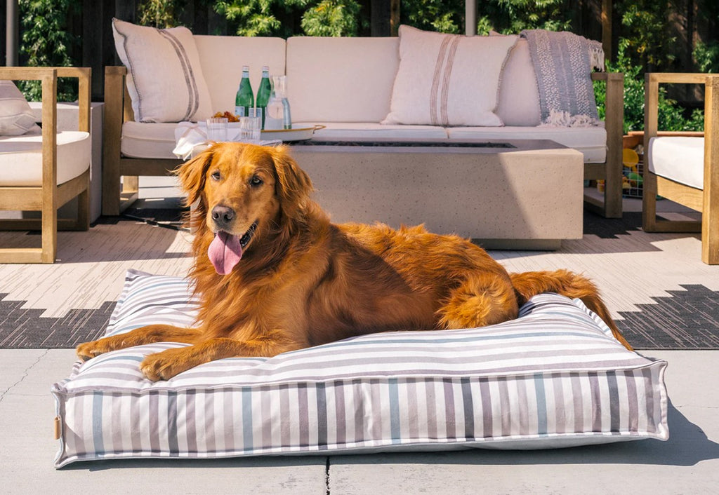 Golden retriever lounging on a striped dog bed in an outdoor patio setting.