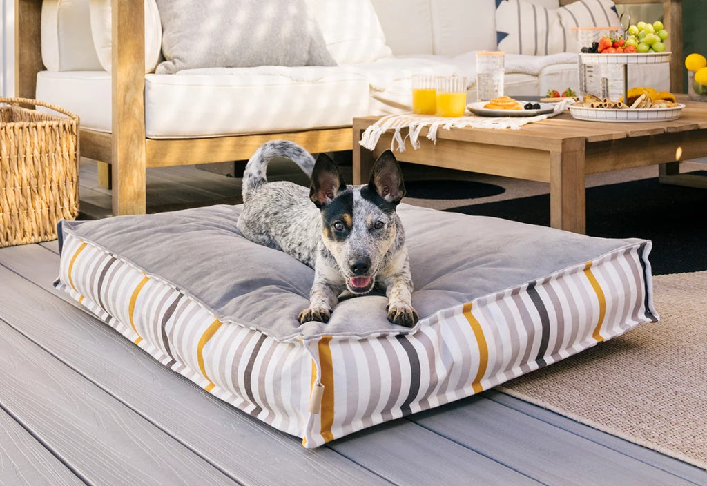 Dog relaxing on a P.L.A.Y. Seaside Boxy Bed with striped design in a stylish living room.