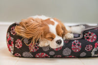 Dog sleeping on P.L.A.Y. Skulls & Roses Lounge Bed with skulls, roses, and baby’s breath motif providing comfort and style.